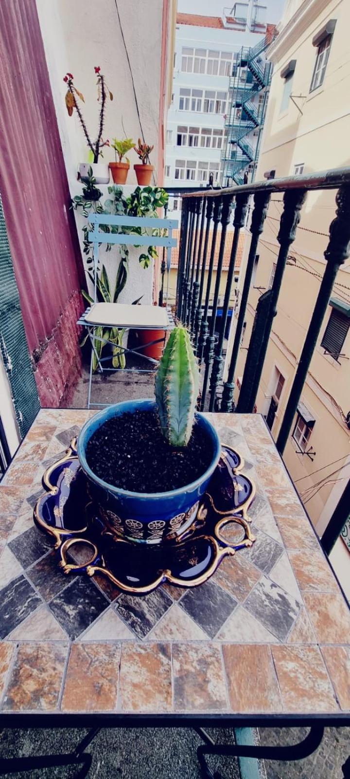Charming Central Apartment To Rent Lisboa 外观 照片
