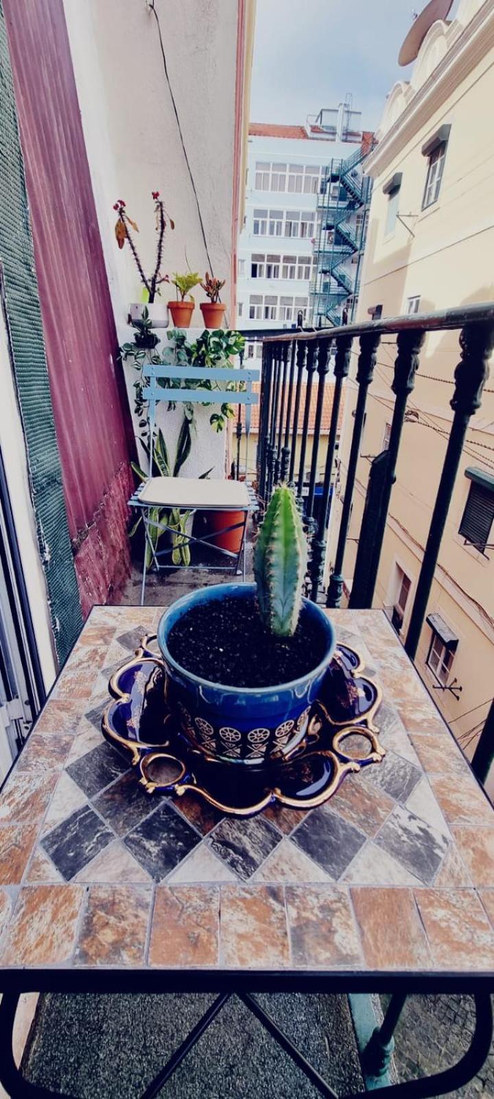 Charming Central Apartment To Rent Lisboa 外观 照片